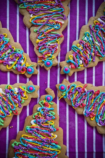 Festive Christmas tree cookies with multicolor icing