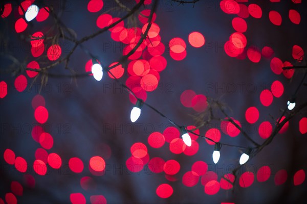 Defocused red lights behind tree branch