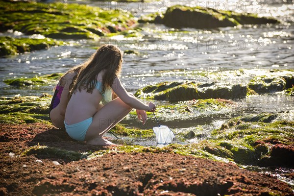 Crouching Caucasian girls exploring tide pools with net