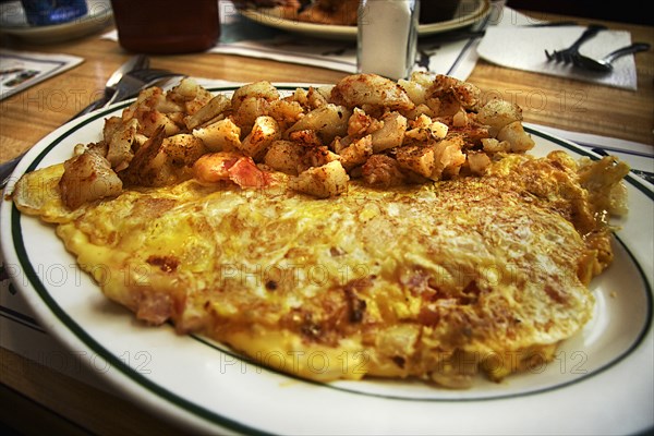 Omelet on plate with hash browns