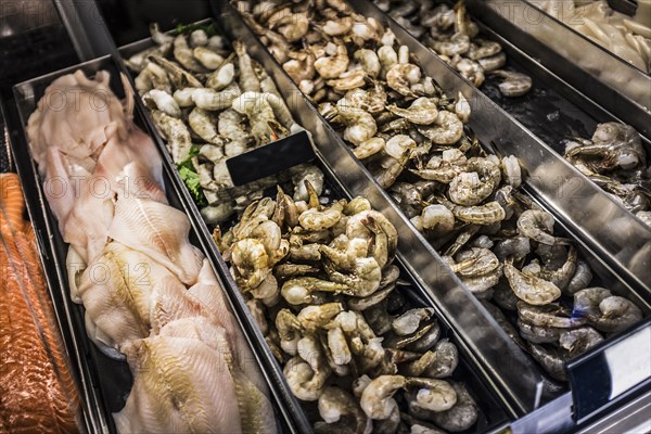 Shrimp and fish fillets in display case