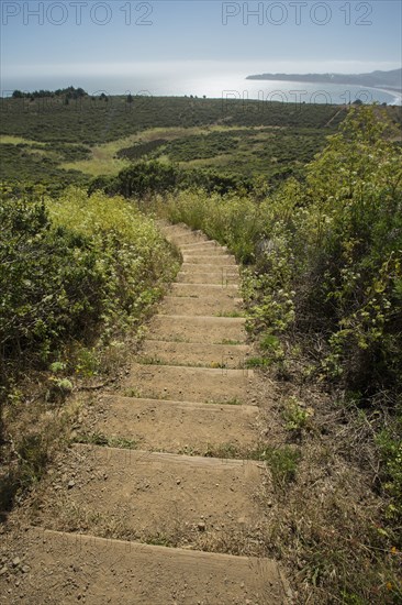High angle view of steps on rural hillside