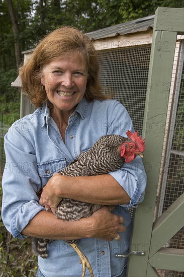 Older Caucasian woman holding chicken near coop