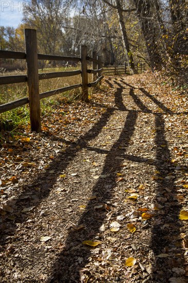 Wooden fence casting shadows on dirt path