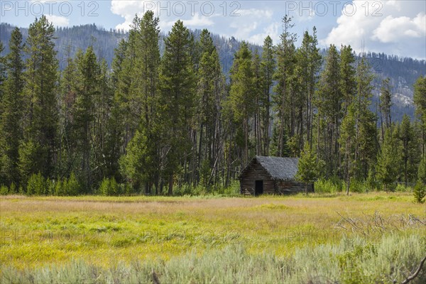 Abandoned rustic cabin in remote field