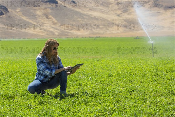 Caucasian farmer using digital tablet in field