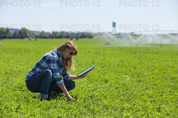 Caucasian farmer using digital tablet in field