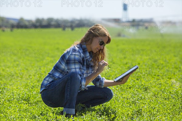 Caucasian farmer using digital tablet in field