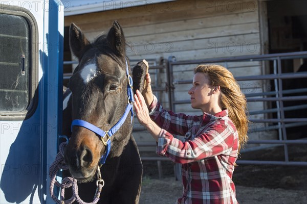 Caucasian woman grooming horse on ranch