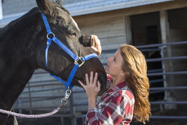 Caucasian woman grooming horse on ranch