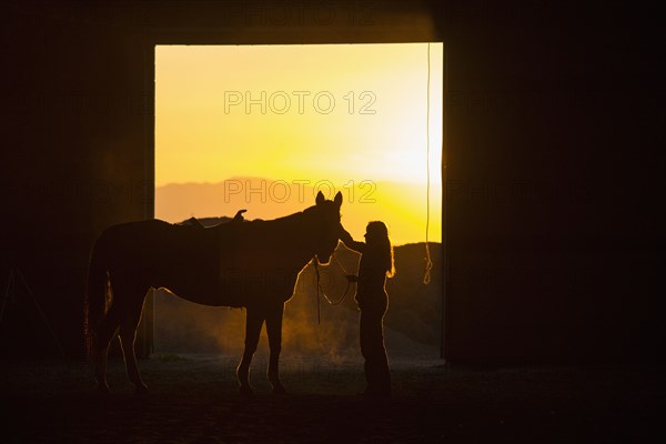 Caucasian woman grooming horse in barn