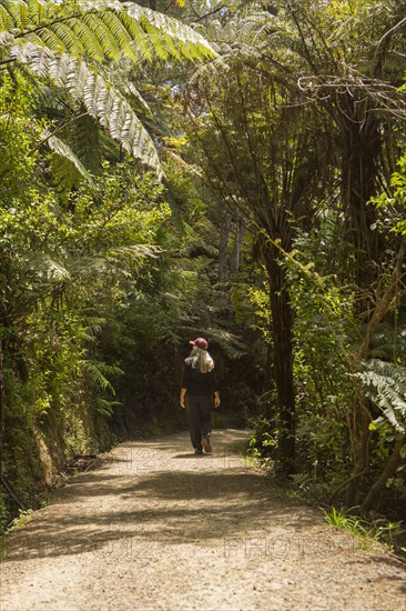 Caucasian woman walking on path in rural forest