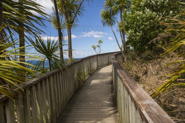 Wooden walkway on hillside