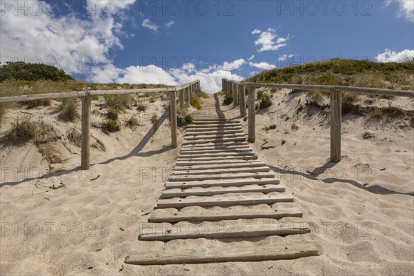 Wooden walkway on beach