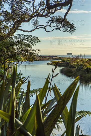 River in remote landscape through tall grass