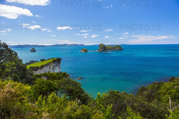 Lush cliff and remote seascape