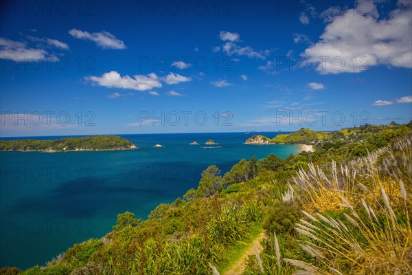 Lush cliff and remote seascape