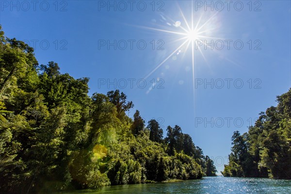 Sun over lush trees and remote river