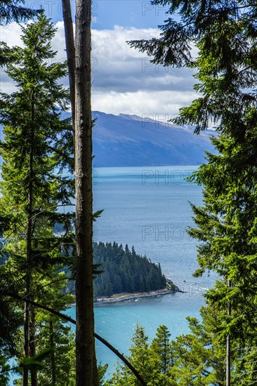 Forested island in remote lake