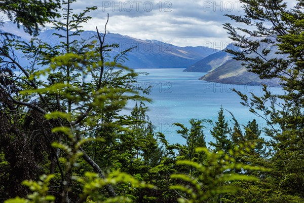 Forested islands in lake