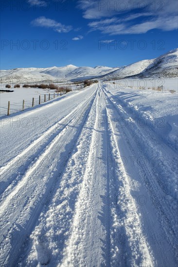 Tire tracks on snowy remote road