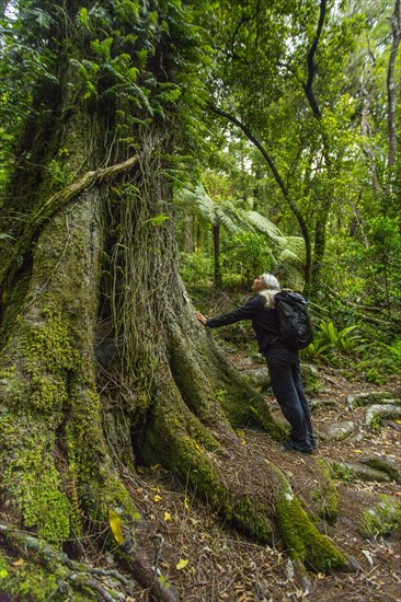 Caucasian hiker leaning on tree in forest