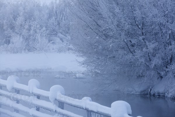 Fence and snowy trees over remote river