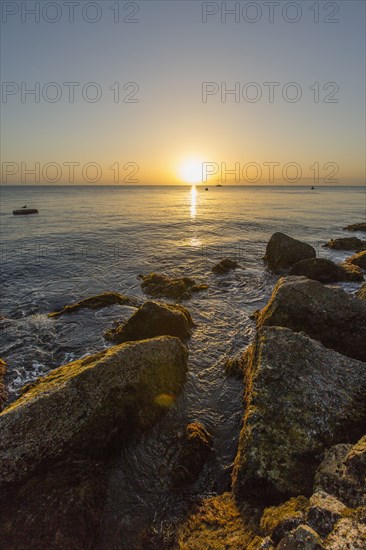 Rocks on ocean beach at sunset