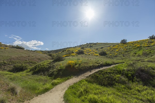 Dirt path in rolling landscape