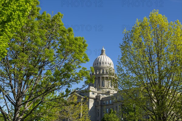 Dome of building behind trees