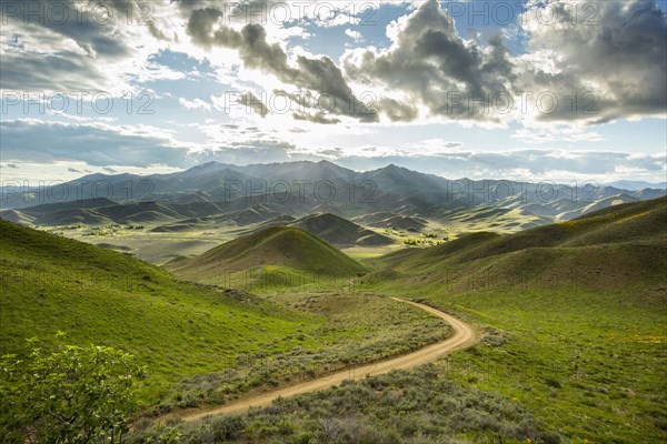 Dirt road in rolling landscape