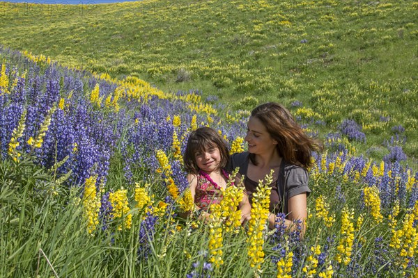 Caucasian mother and daughter sitting on hillside with wildflowers