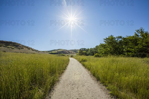 Dirt path in sunny rolling landscape