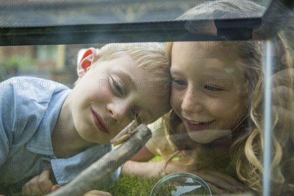 Caucasian brother and sister examining grasshopper