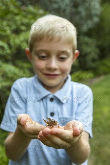Caucasian boy cupping grasshopper in hands