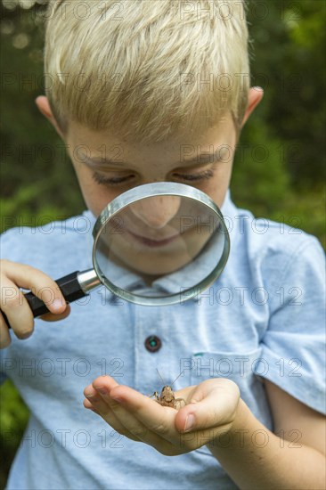 Caucasian boy examining grasshopper with magnifying glass