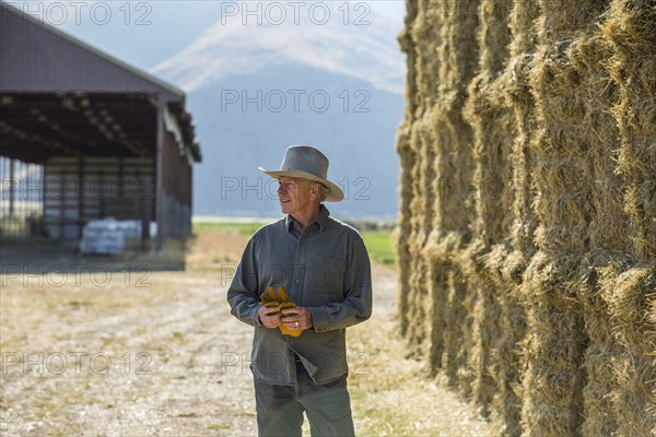 Caucasian farmer holding gloves near stacks of hay
