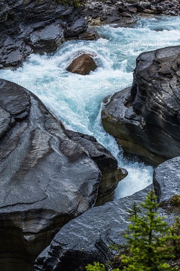 Rapids winding through rocks