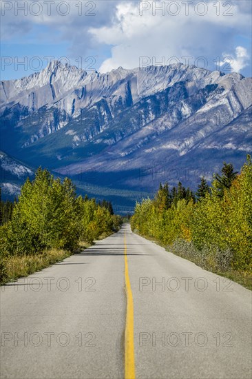 Empty tree-lined road to mountain