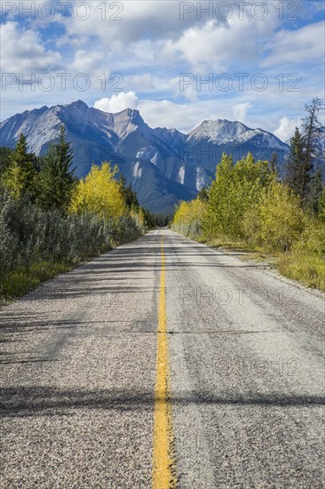 Empty tree-lined road to mountain