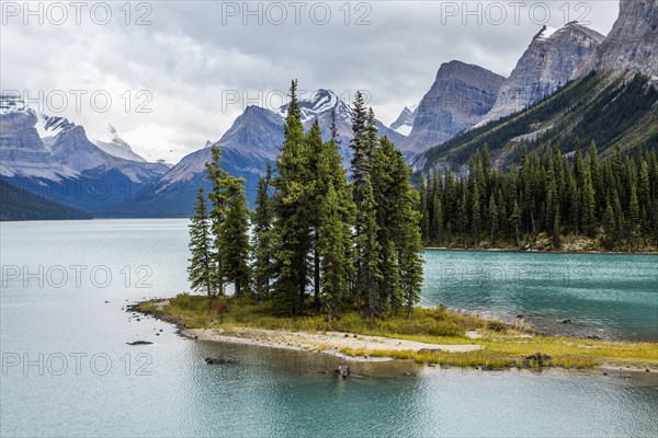 Trees on island in lake