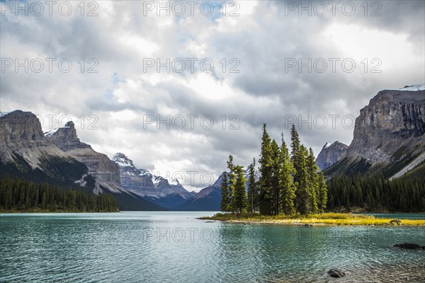 Trees on island in lake