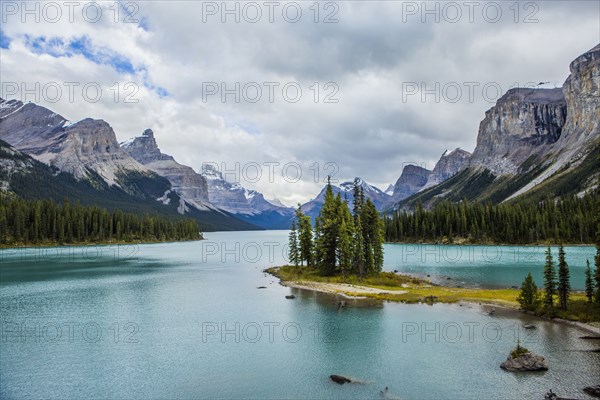 Trees in mountain lake