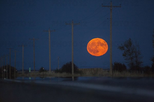 Orange full moon over utility poles