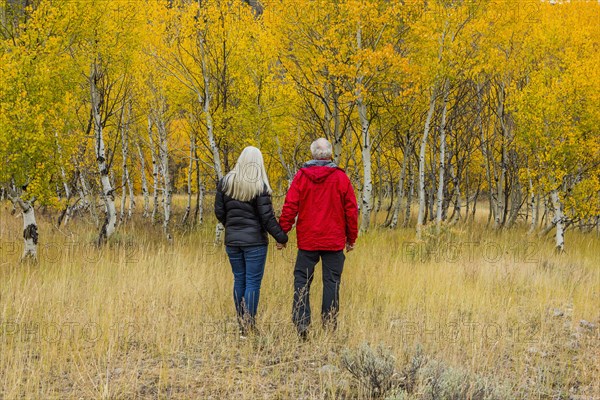 Caucasian couple walking in forest in autumn