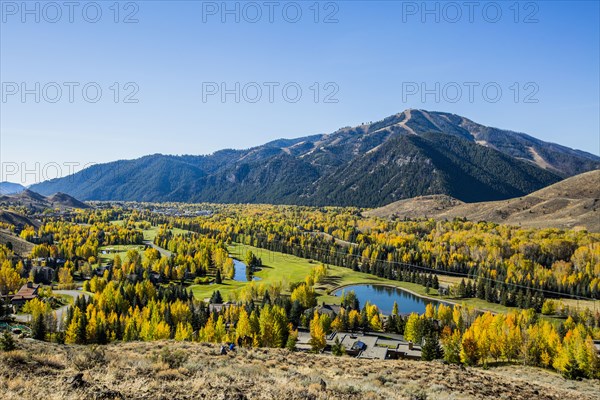 Trees and ponds in mountain landscape