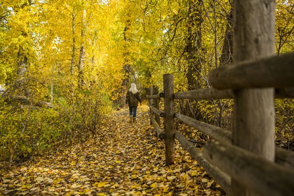 Caucasian woman walking near wooden fence in autumn