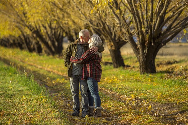 Caucasian couple kissing near trees in autumn