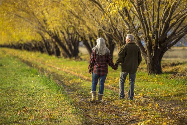 Caucasian couple holding hands near trees in autumn