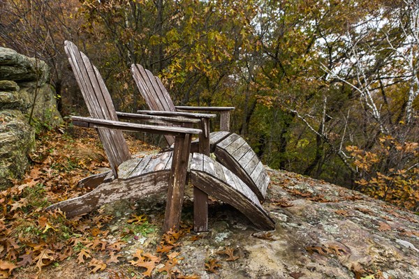 Autumn leaves near adirondack chairs